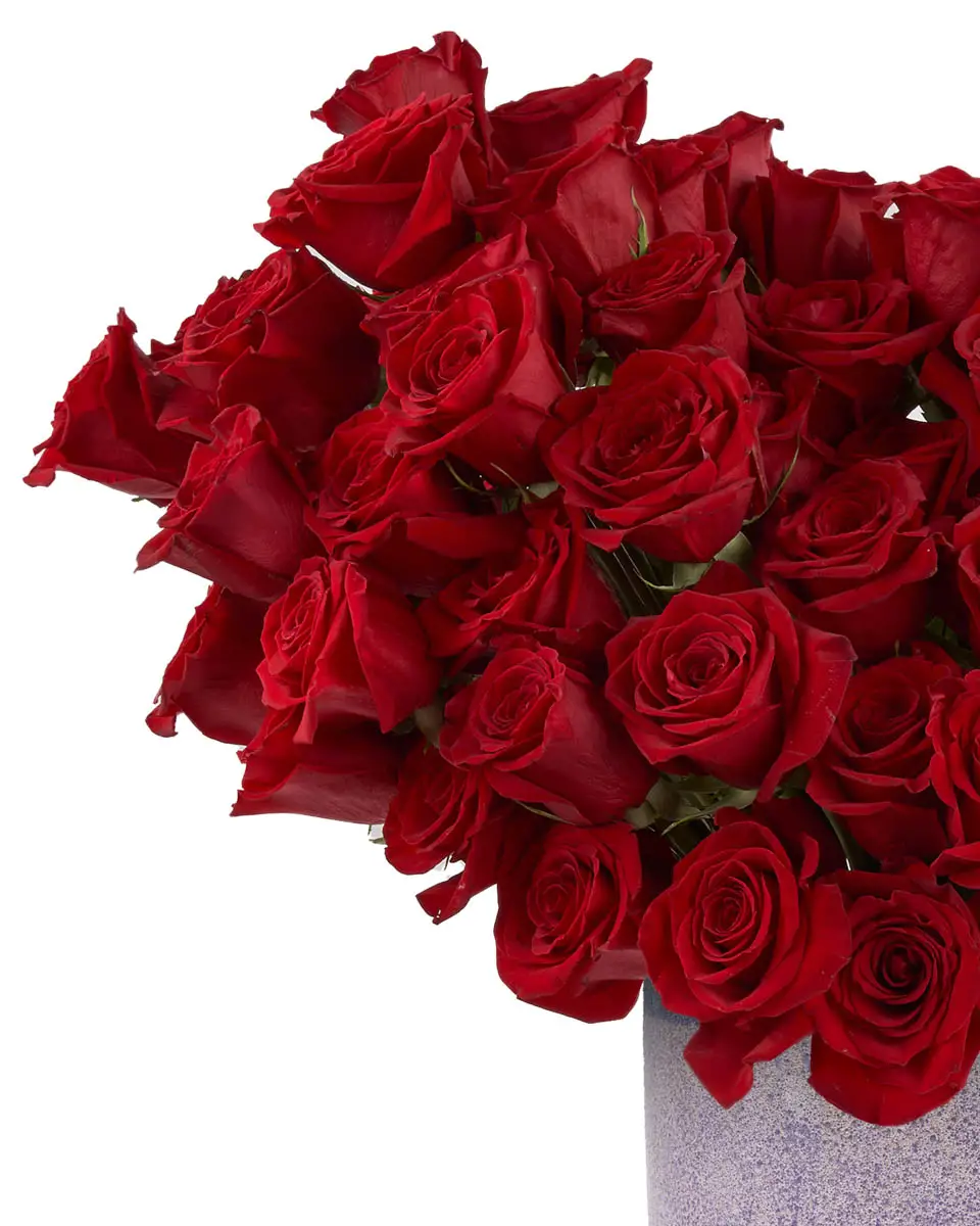 Roses For You EDITED2 Roses For You EDITED2