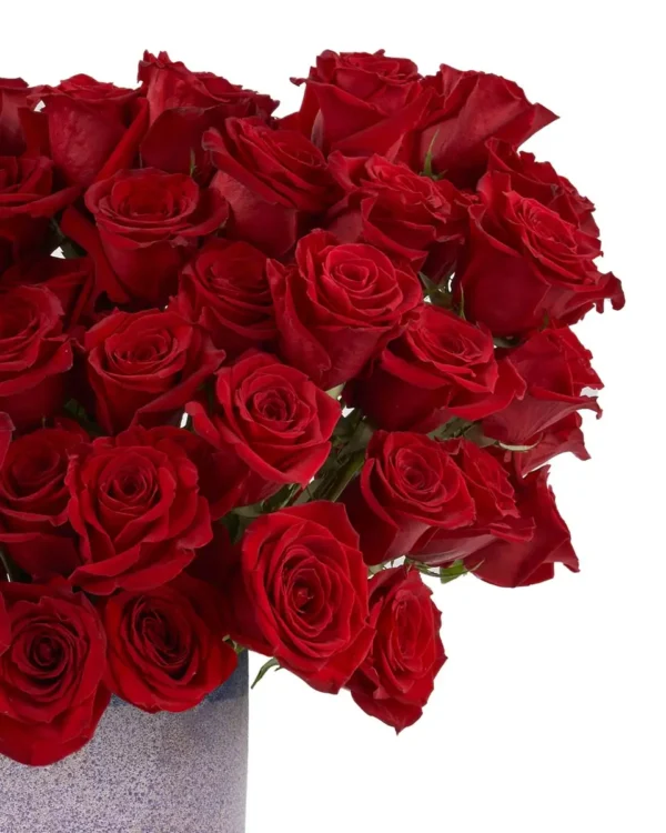 Roses For You EDITED3