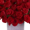 Roses For You EDITED5 Roses For You EDITED5