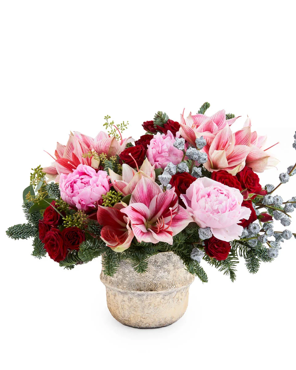 AMARYLLis sparkleNEW PRODUCT14 NEW VASE ARRANGEMENT FRONT AMARYLLis sparkleNEW PRODUCT14 NEW VASE ARRANGEMENT FRONT