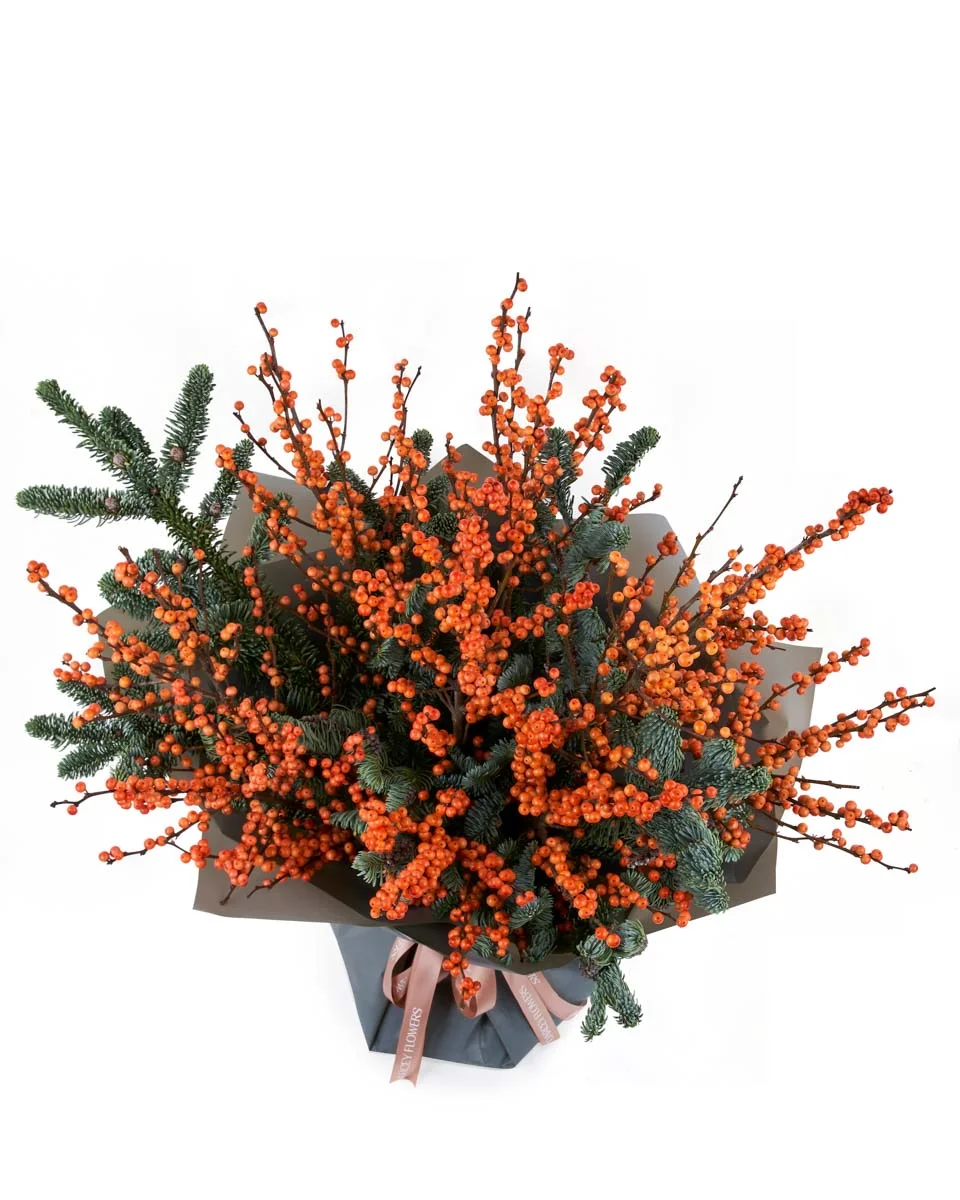 ClementineNEW BOUQUET 6 FRONT SUPERB ClementineNEW BOUQUET 6 FRONT SUPERB