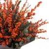 ClementineNEW BOUQUET 6 RIGHT DETAILS SUPERB