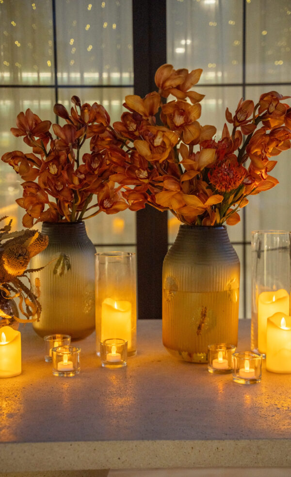 DSC07082 scaled e1732086674615