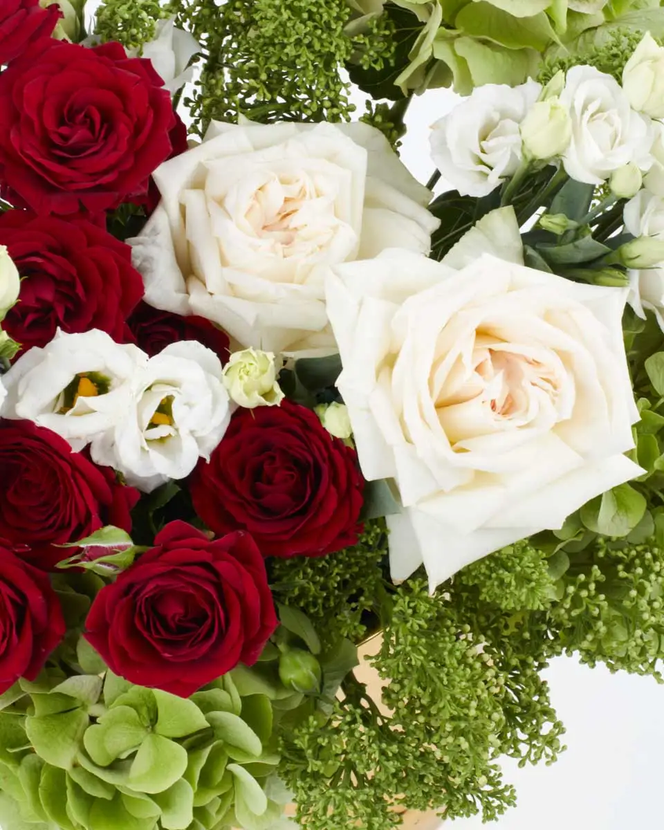 Deserts Promise  2024 Full