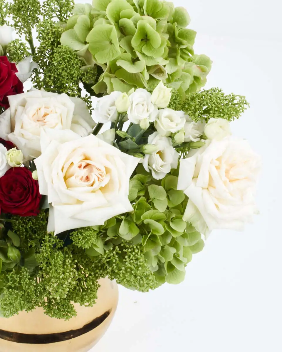 Deserts Promise  2024 Left