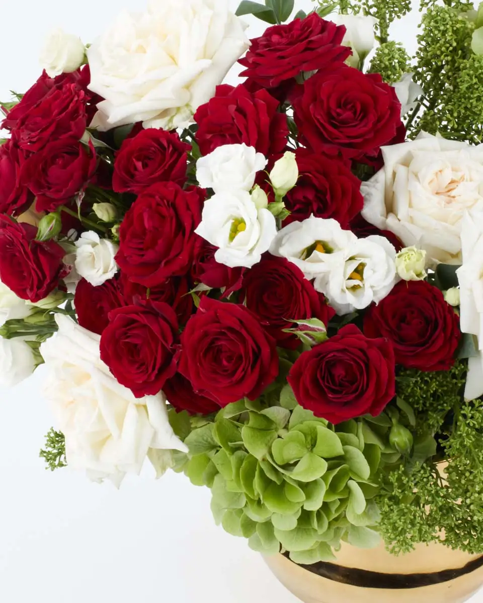 Deserts Promise  2024 Right