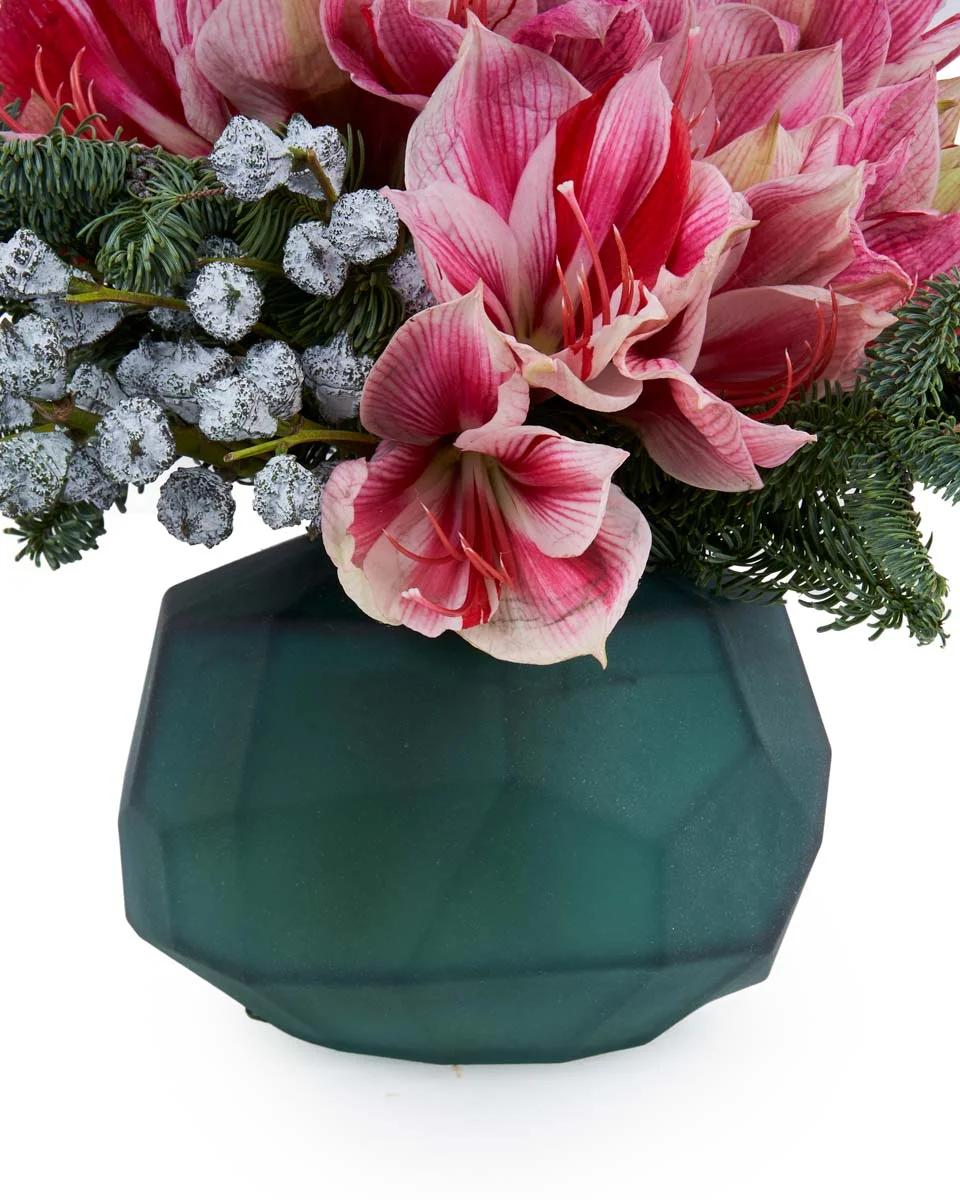 Festive AmaryllisNEW PRODUCT11 NEW VASE ARRANGEMENT VASE Festive AmaryllisNEW PRODUCT11 NEW VASE ARRANGEMENT VASE