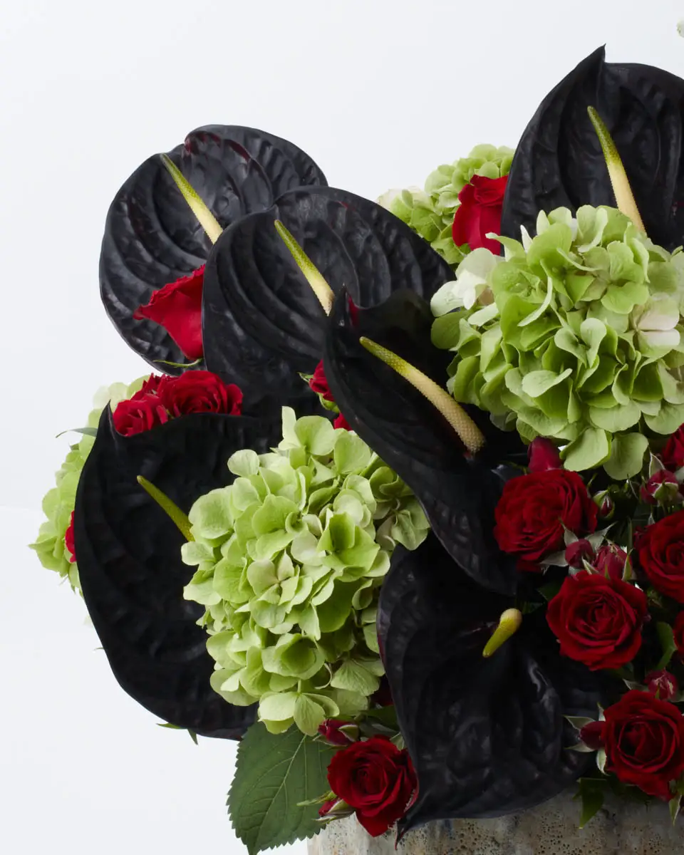 From Dubai with Love  2024 JAVIER RIGHT