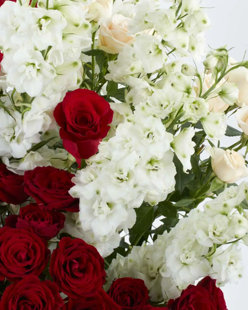 From Dubai with Love  2024 JAVIER SIDE