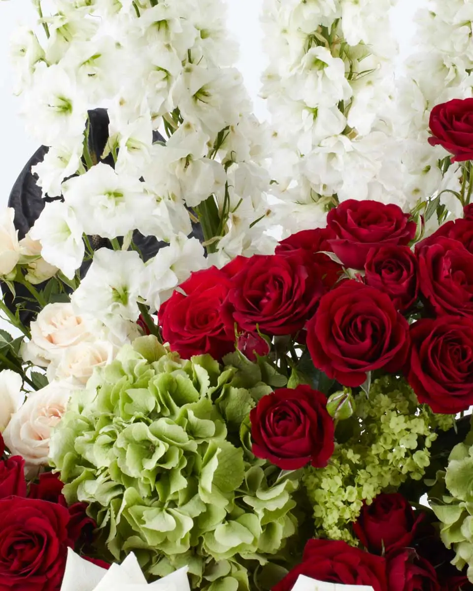 Grand Display 2024 PLAYFUL MITTY CLOSE