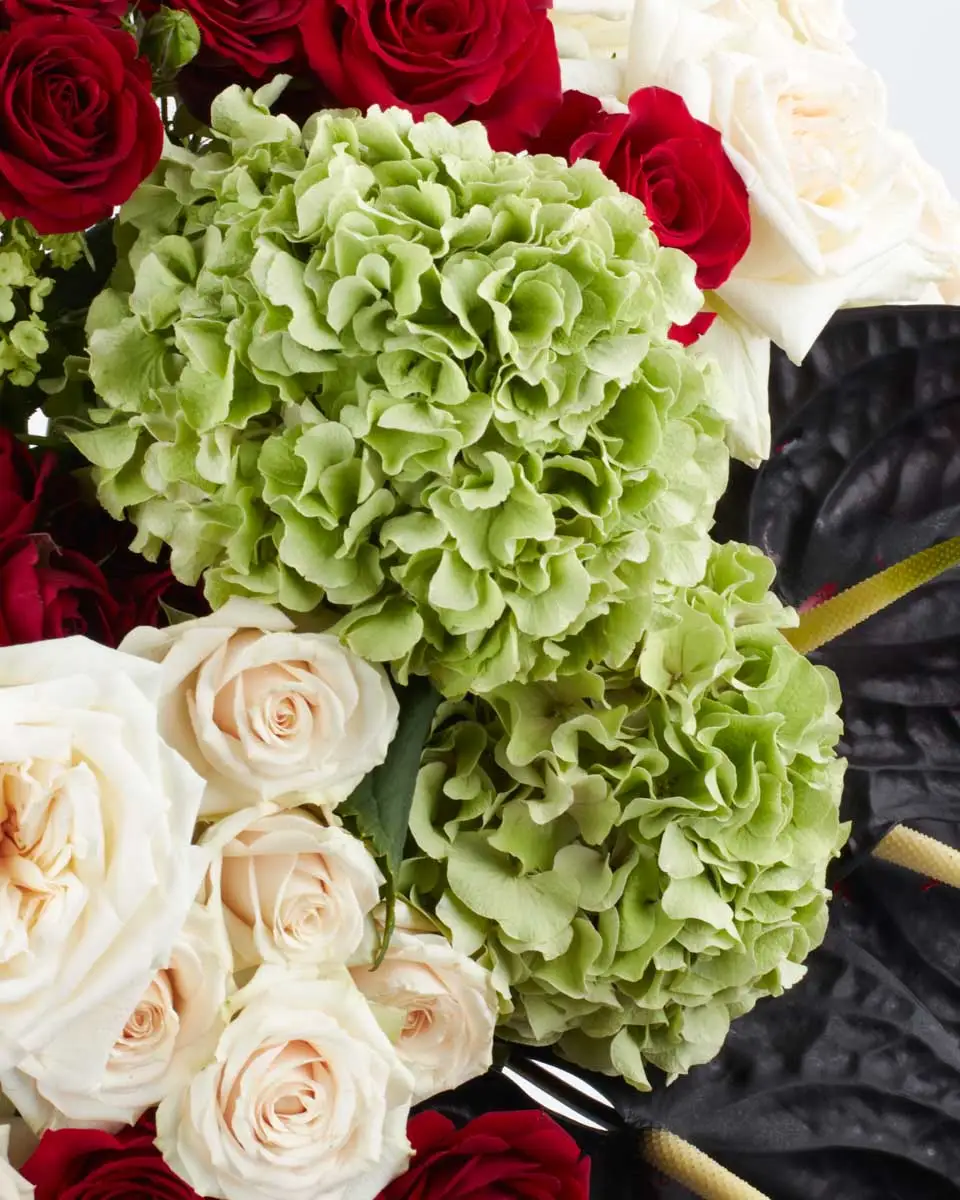 Grand Display 2024 PLAYFUL MITTY LEFT