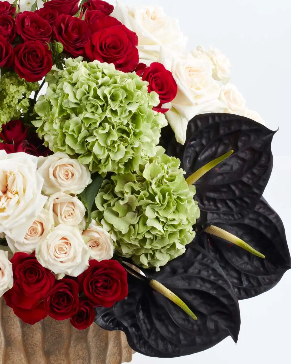 Grand Display 2024 PLAYFUL MITTY LEFT2