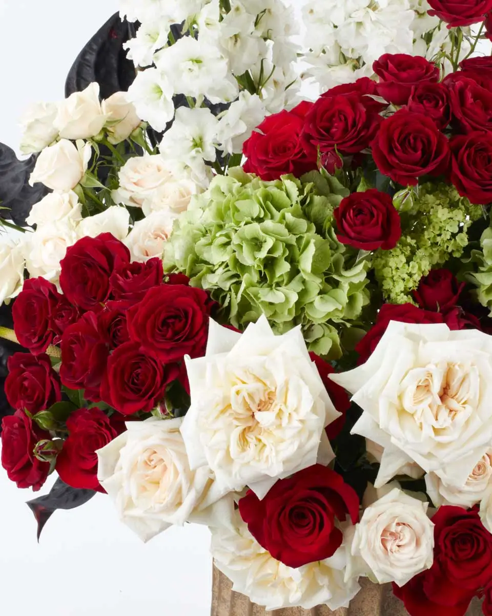 Grand Display 2024 PLAYFUL MITTY RIGHT