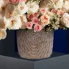 ROYAL PEACH 1 2025 ROYAL PEACH 1 2025