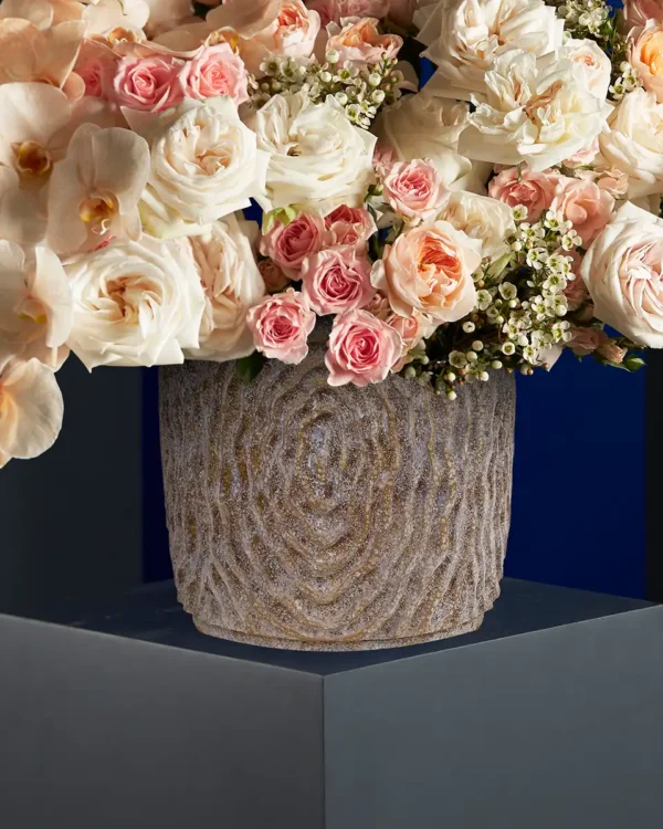 ROYAL PEACH 1 2025