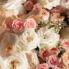 ROYAL PEACH 2 2025 ROYAL PEACH 2 2025