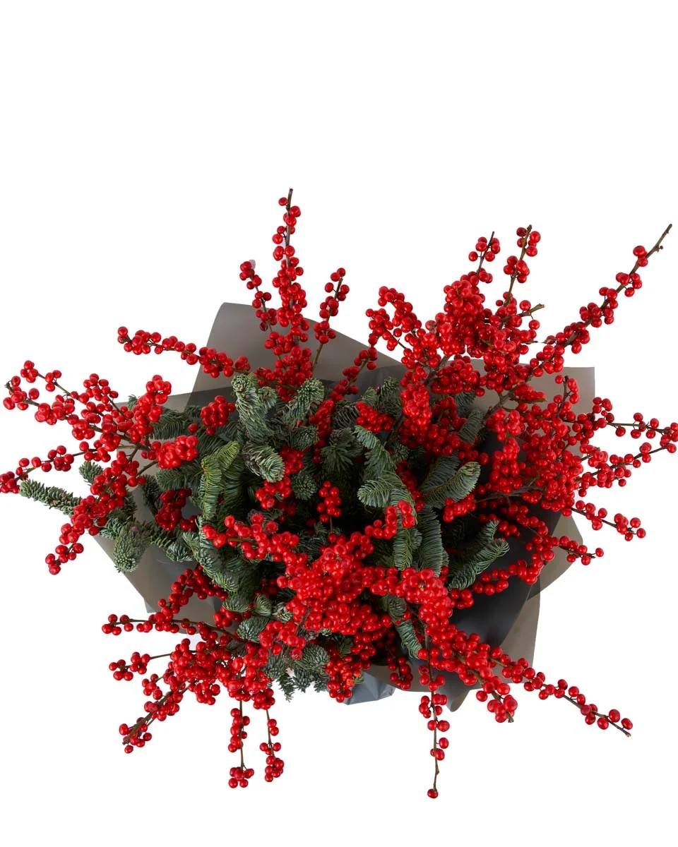 Red HollyNEW BOUQUET 7 TOP SUPERB Red HollyNEW BOUQUET 7 TOP SUPERB