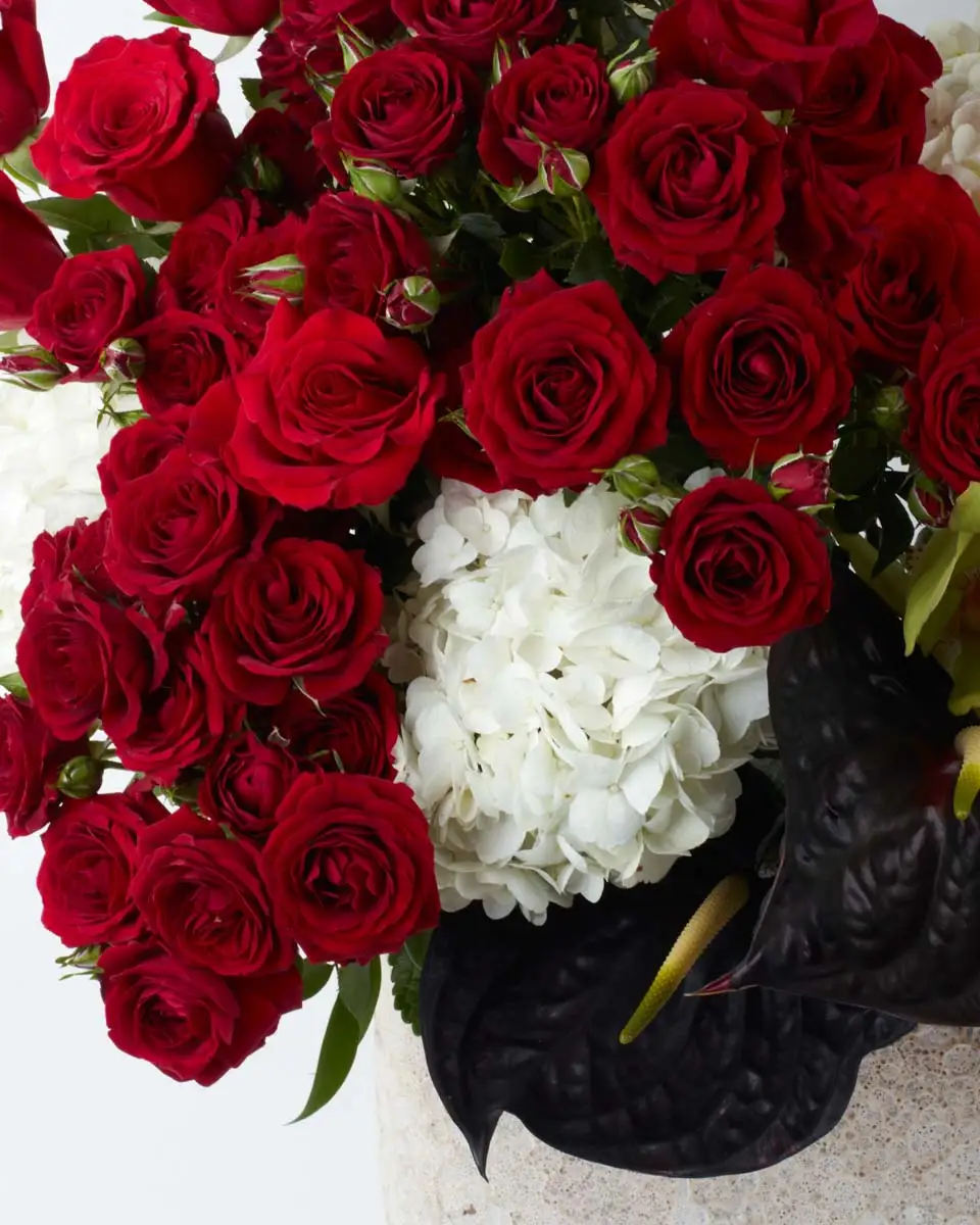 Royal Treat  2024 MAGNIFICENT GREY CLOSE3