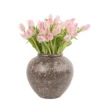 Charming Pink Tulips 30 Dec 2024 Charming Pink Tulips 30 Dec 2024