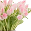 Charming Pink Tulips 30 Dec 2024 3 Charming Pink Tulips 30 Dec 2024 3