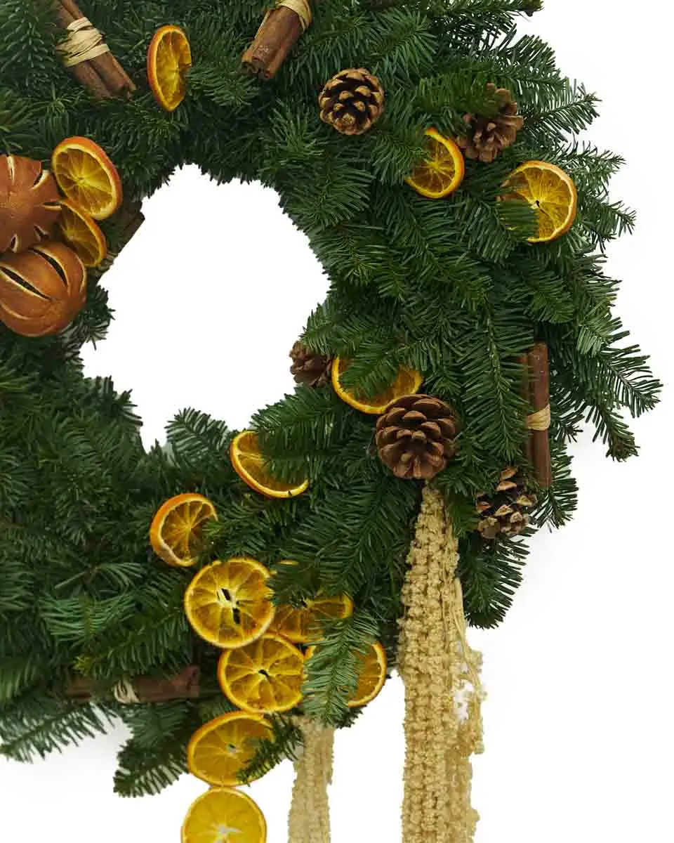 Citrus Spice Delight 2 Citrus Spice Delight 2