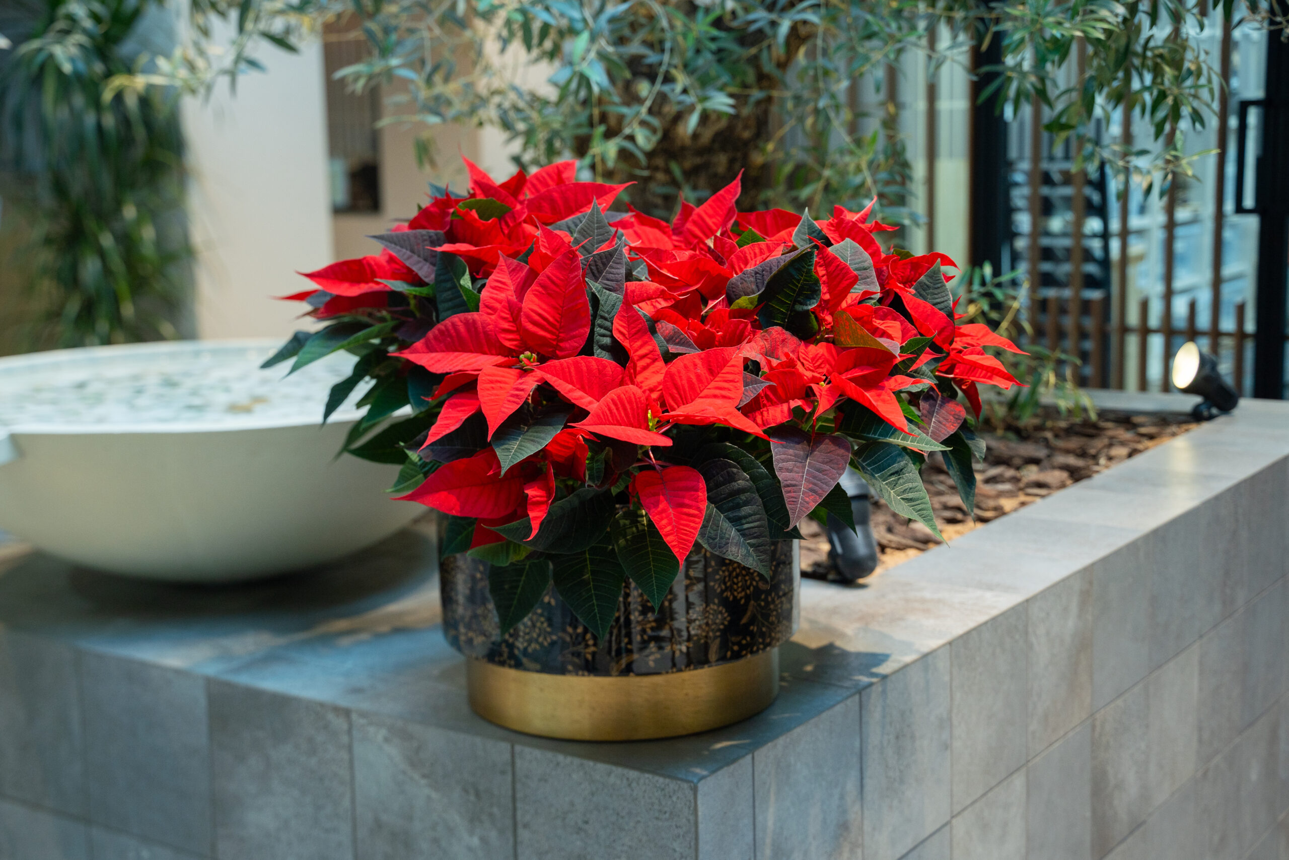 Christmas bouquets