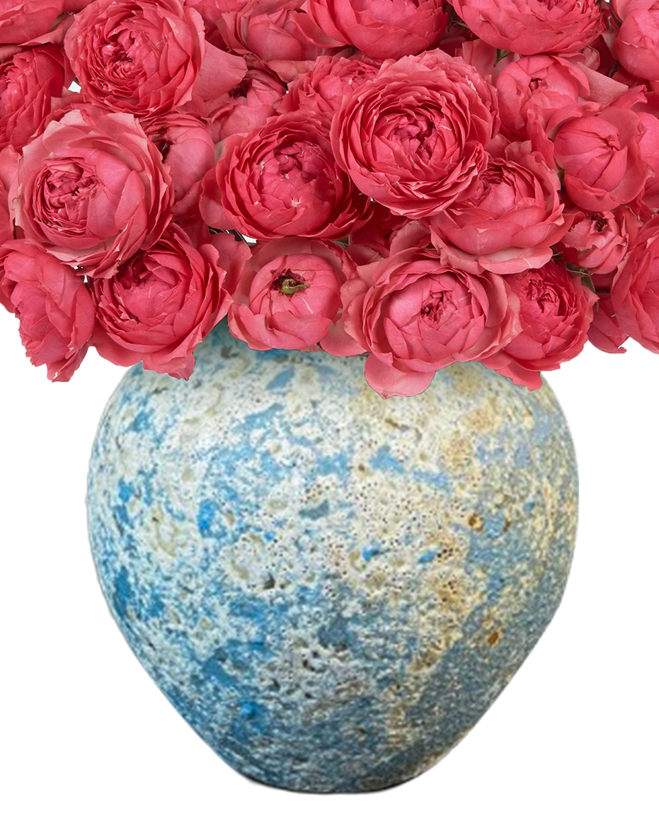 RASPBERRY DELIGHT 2025 Details 2