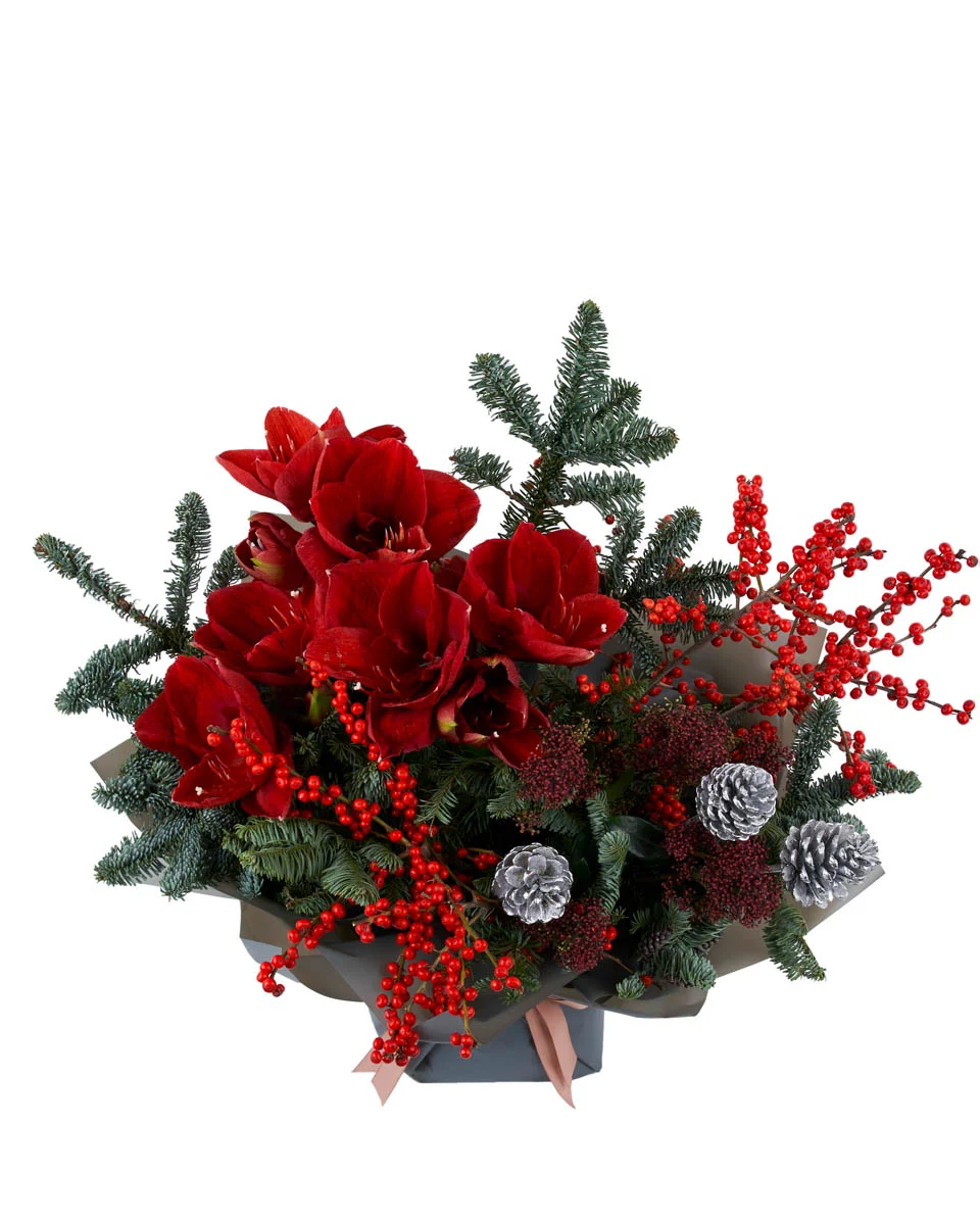 Velvet RadianceNEW BOUQUET 8 FRONT SUPERB