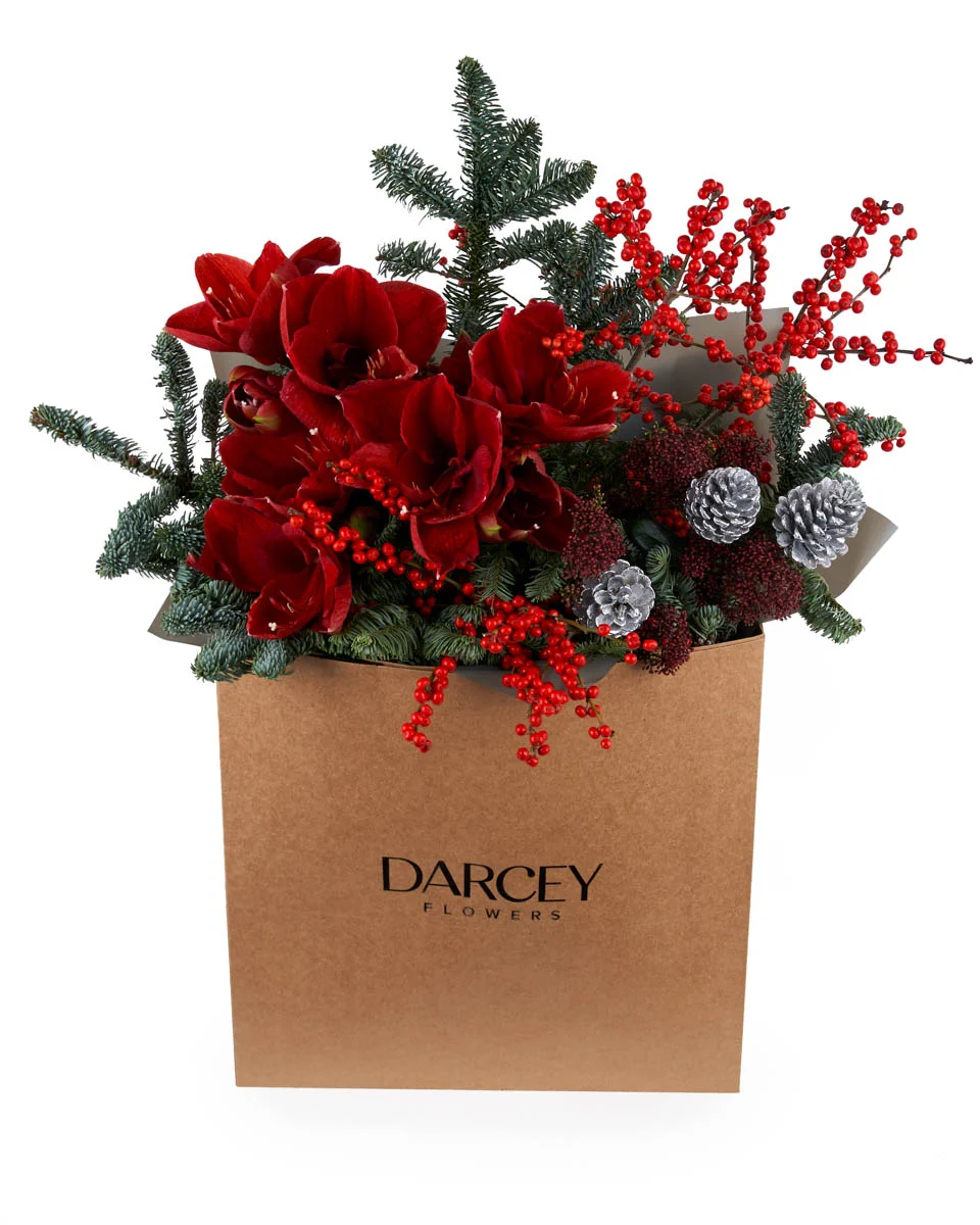 Velvet RadianceNEW BOUQUET 8 PAPERBAG SUPERB NEW VASE ARRANGEMENT FRONT