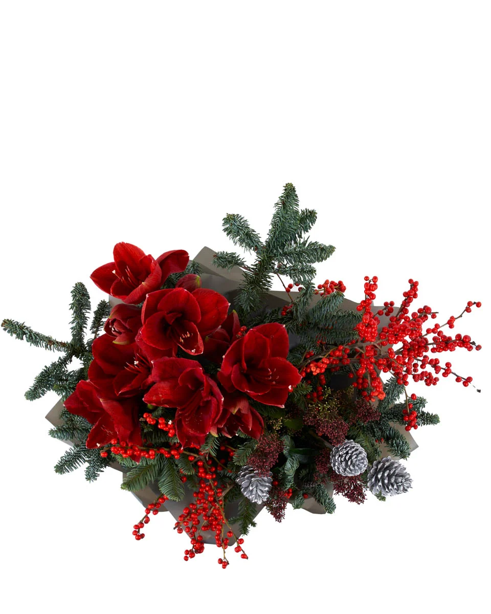 Velvet RadianceNEW BOUQUET 8 TOP SUPERB