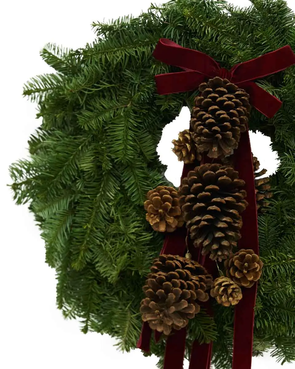 Winter Pines Side Winter Pines Side