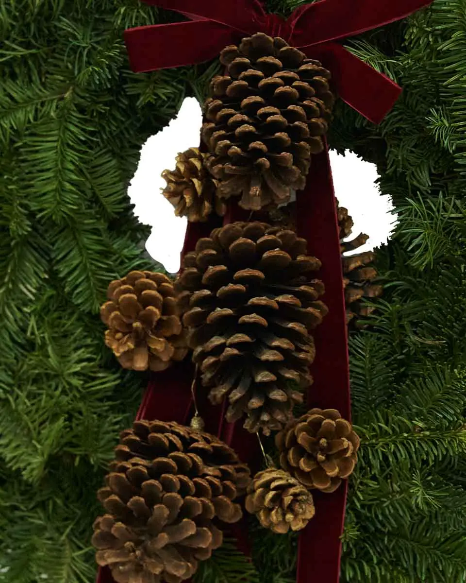 Winter Pines close Winter Pines close