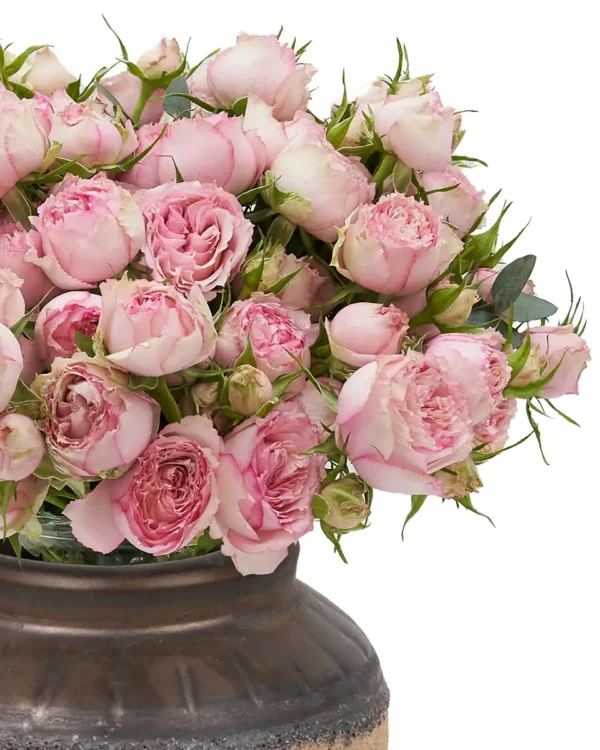 Baby Blossoms Left 2025