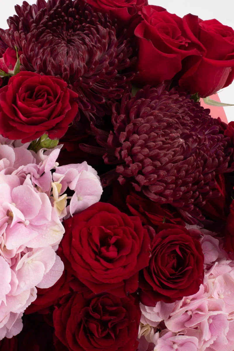 Cotton Candy LoveBOUQUET 4 TOP SUPERB VALENTINES 4 Cotton Candy LoveBOUQUET 4 TOP SUPERB VALENTINES 4