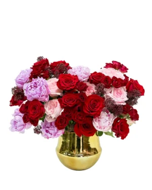 DREAMING OF YOU RESHOOT