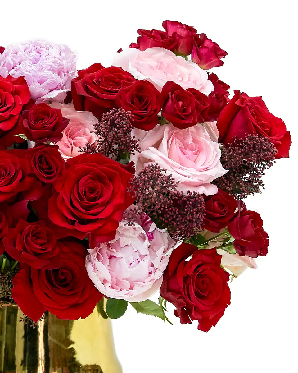 DREAMING OF YOU RESHOOT Details 2