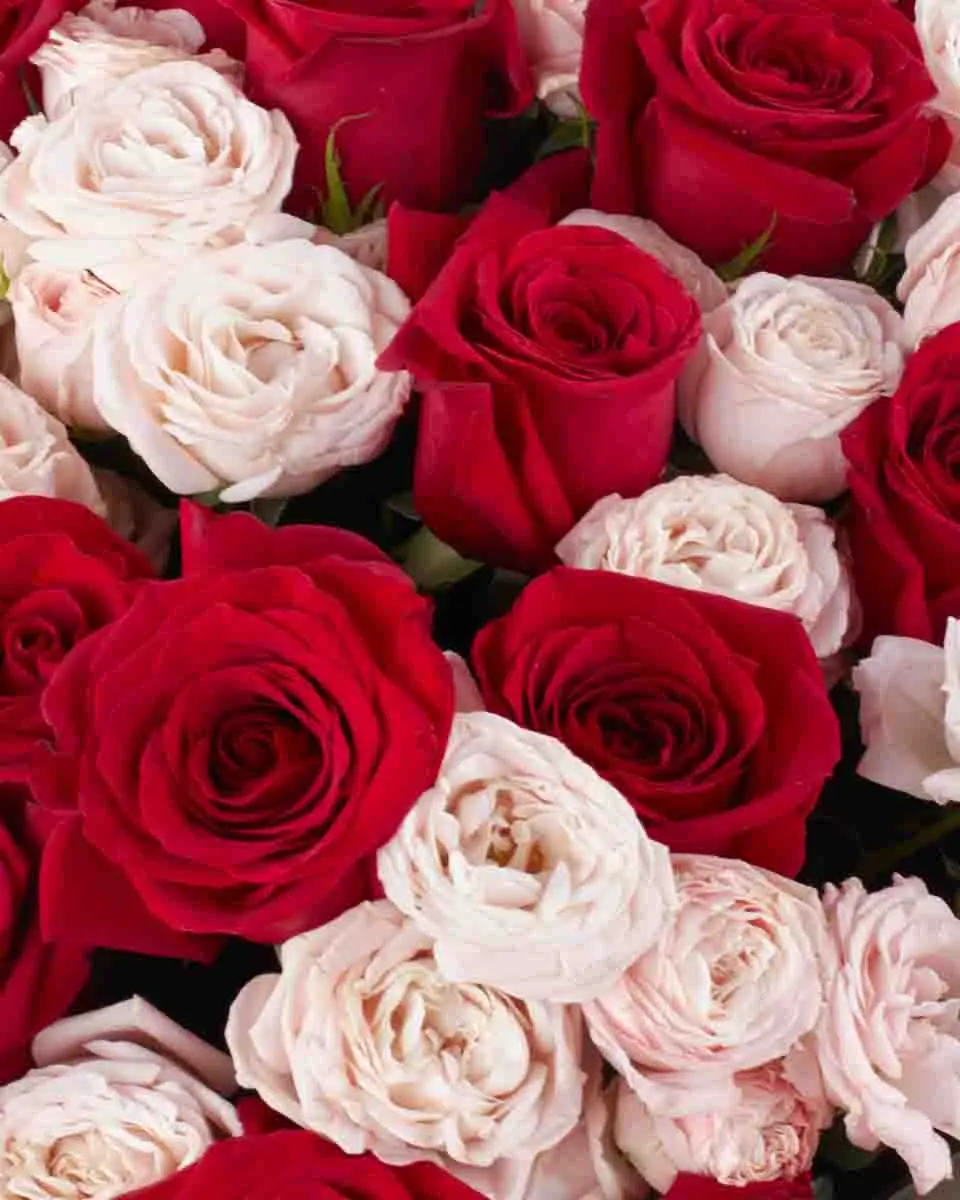 FOREVER MORE SUPERB JUNE 8, 2025 2