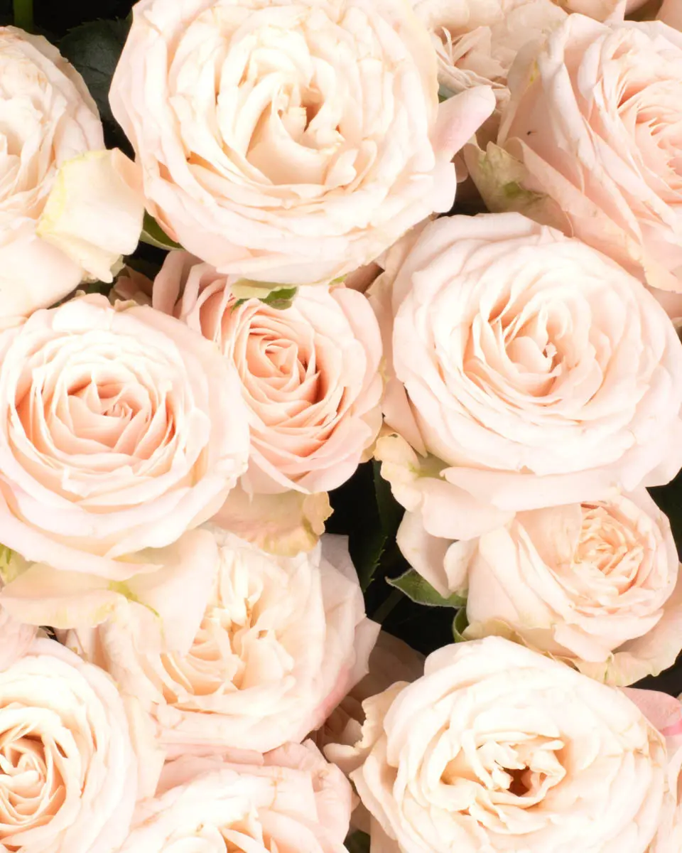 HELLO Bombastic IMPRESSIVE JUNE 3 2