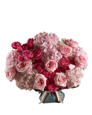 Hello Honey SUPERB edited