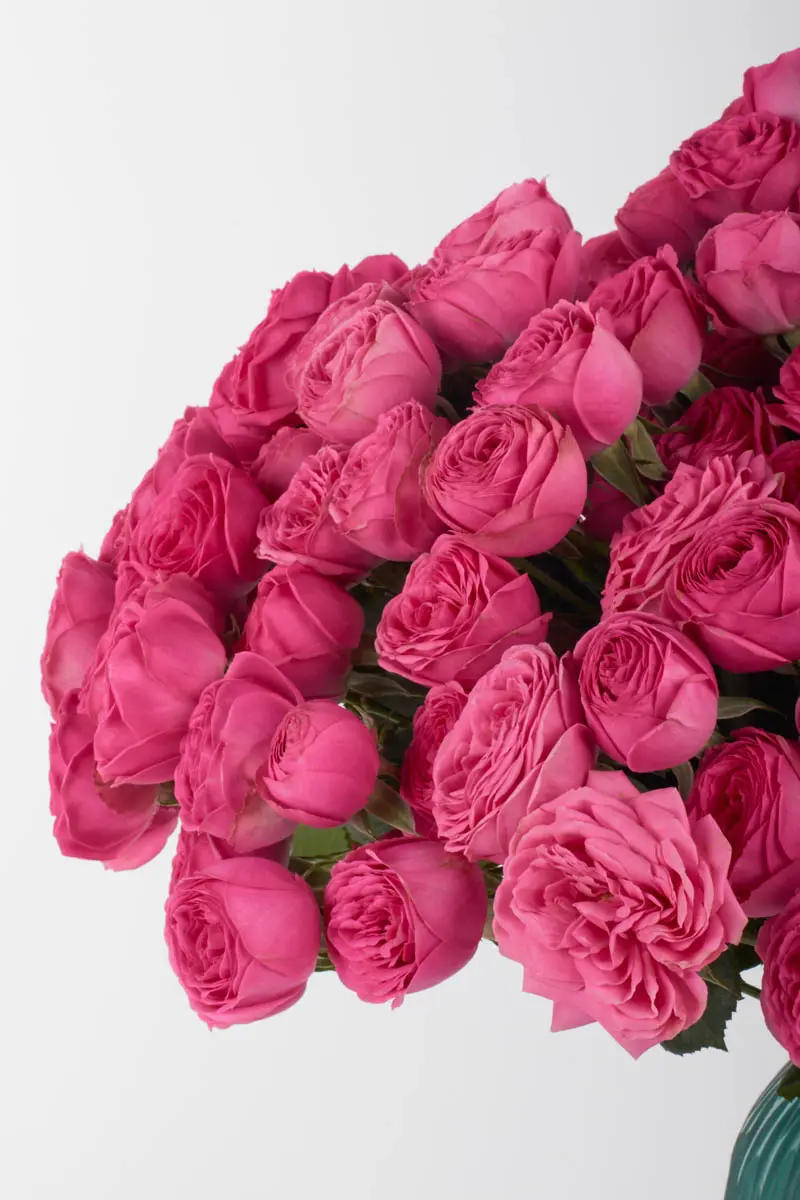 IM YOURS JUNE 2, 2025 1 IM YOURS JUNE 2, 2025 1