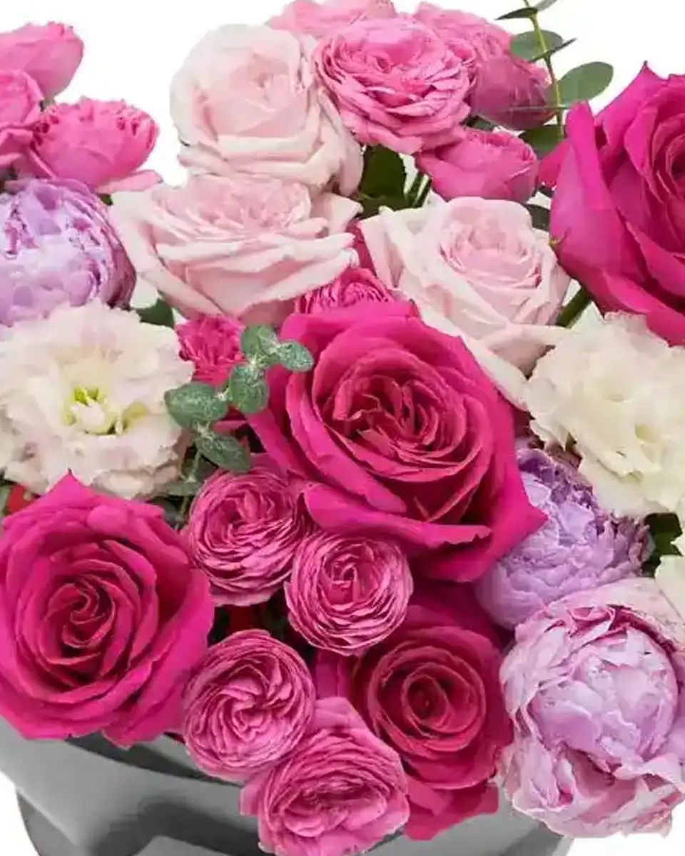 LOVE KISS IMPRESSIVE 2025 Edited4