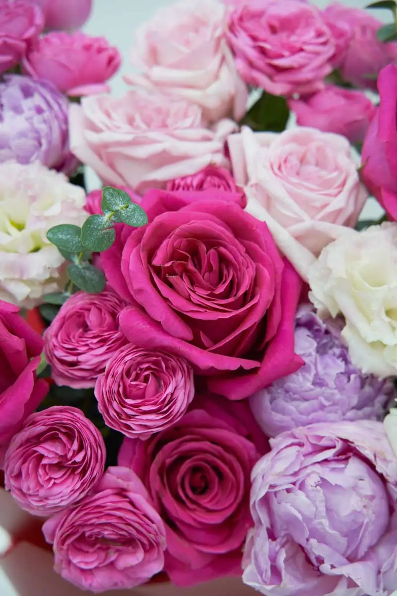 LOVE KISS IMPRESSIVE DETAIL 3 2025