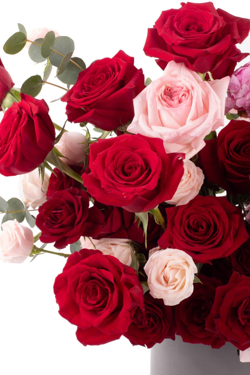 Love AffairVASE 4 2 Love AffairVASE 4 2