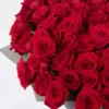 MONTE CARLO RED 101 ONE SIZE ONLY JUNE 8, 2025