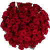 MONTE CARLO RED 101 ONE SIZE ONLY JUNE 8, 2025 top