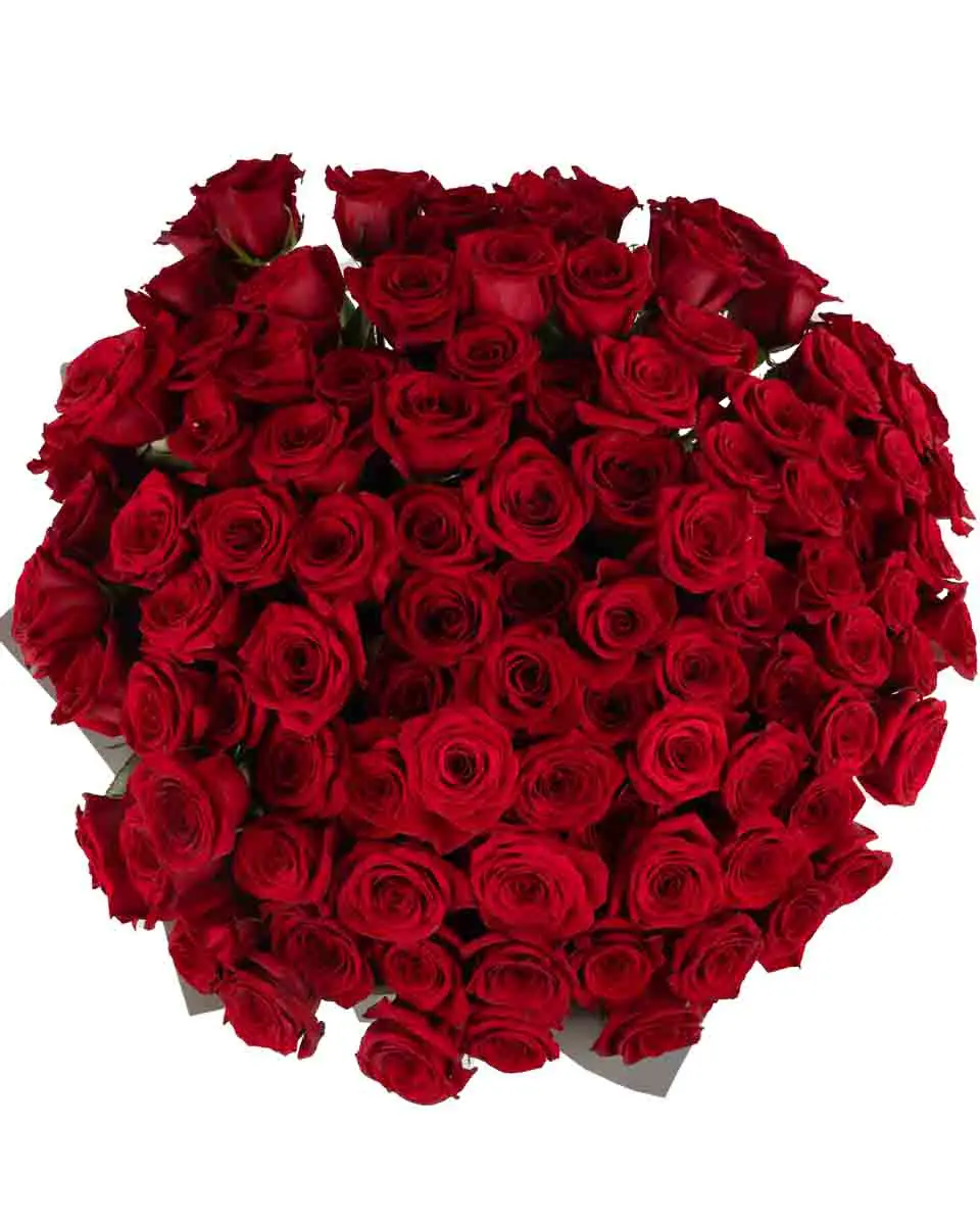 MONTE CARLO RED 101 ONE SIZE ONLY JUNE 8, 2025 top