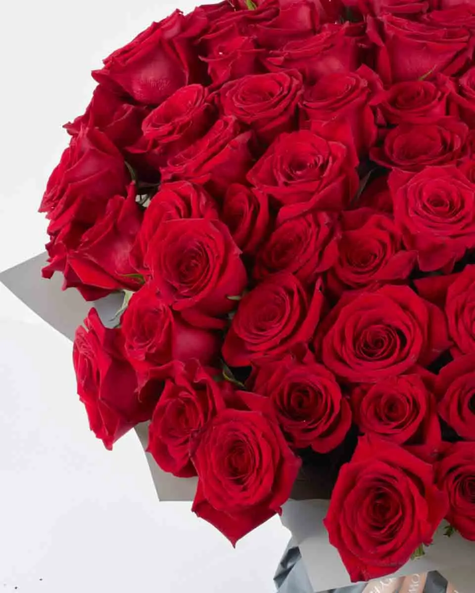 MONTE CARLO RED 101 ONE SIZE ONLY JUNE 8, 2025