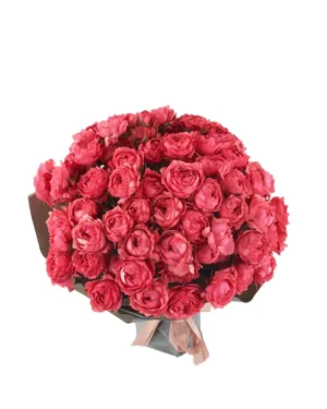 My Sweet Raspberry IMPRESSIVE JUNE 10, 2025 3