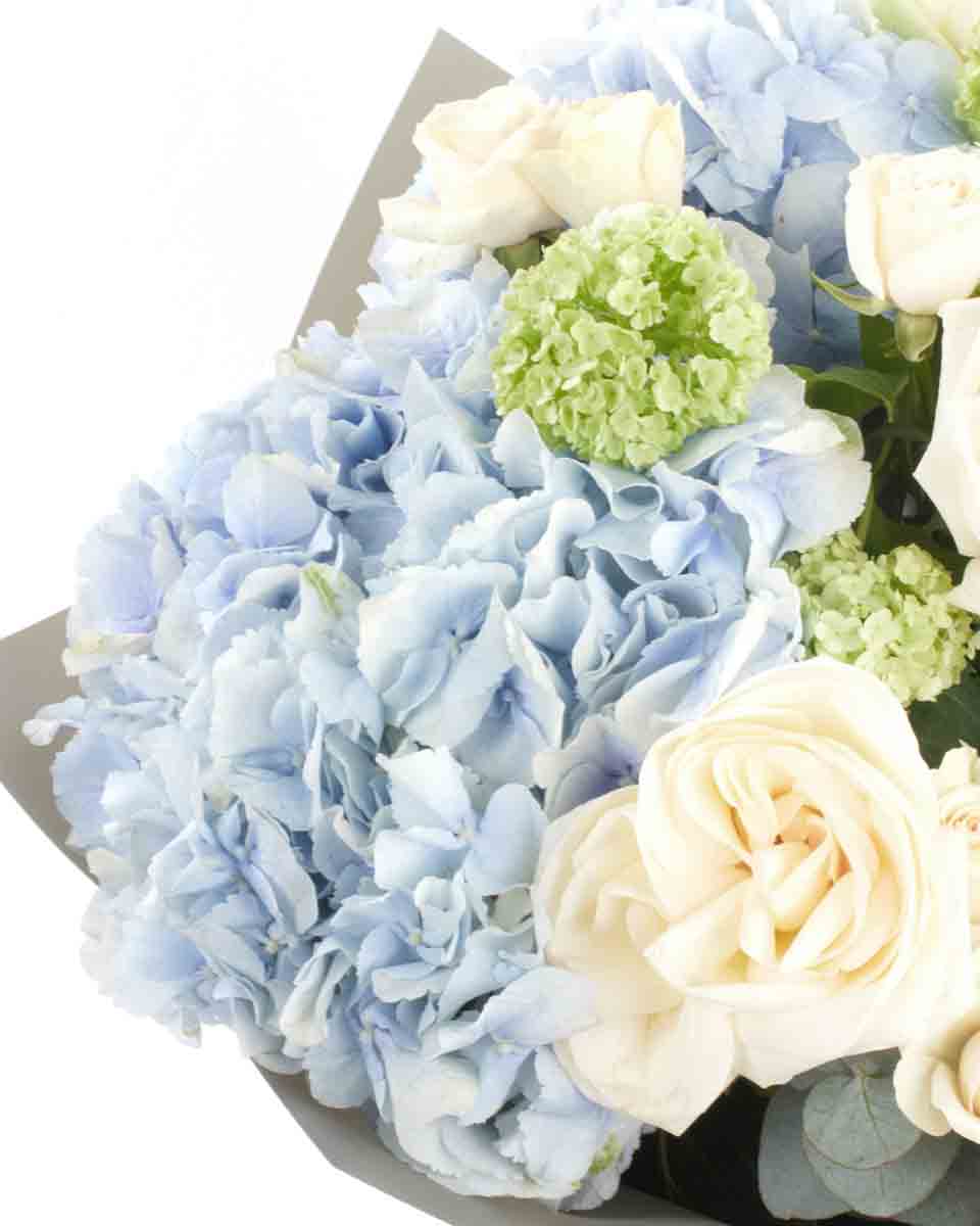 ORION BLUE IMPRESSIVE JUNE 6, 2023 13 2 ORION BLUE IMPRESSIVE JUNE 6, 2023 13 2