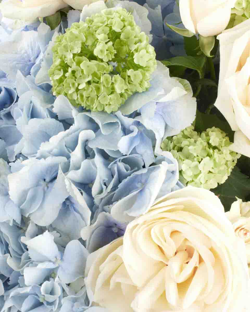 ORION BLUE IMPRESSIVE JUNE 6, 2023 13 3